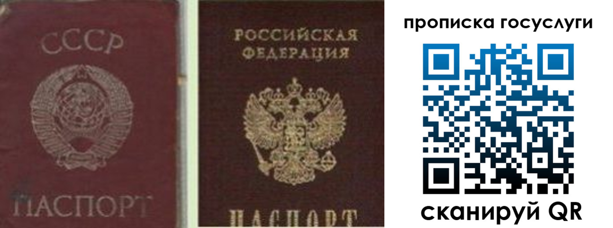 временная регистрация 2025 в Кингисеппе